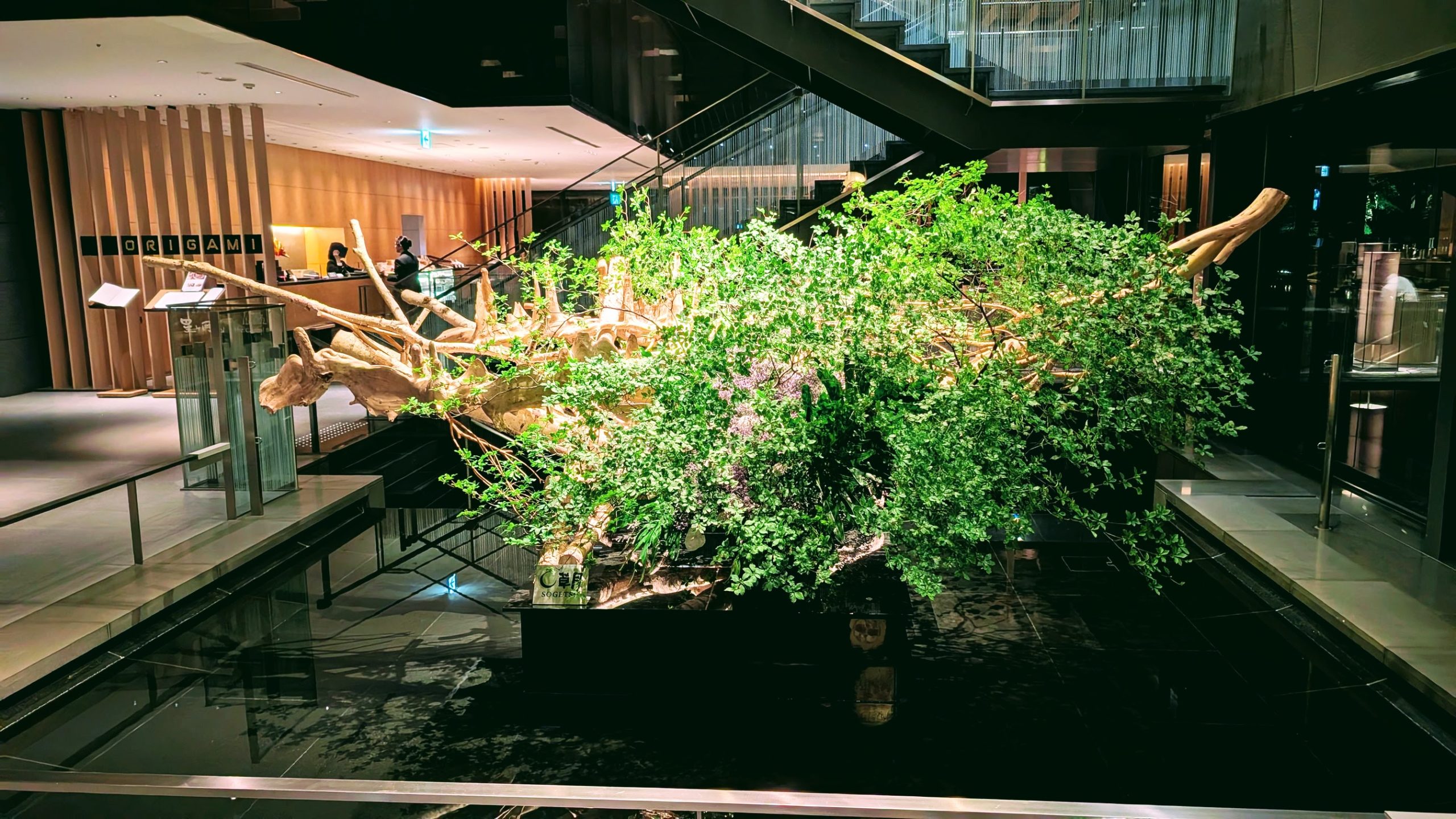 二〇二五年八月十五日